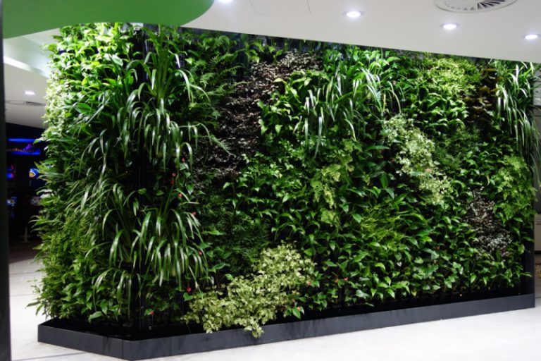 Green Plant Wall for Modern Homes and Offices in Dubai and UAE | Plant ...