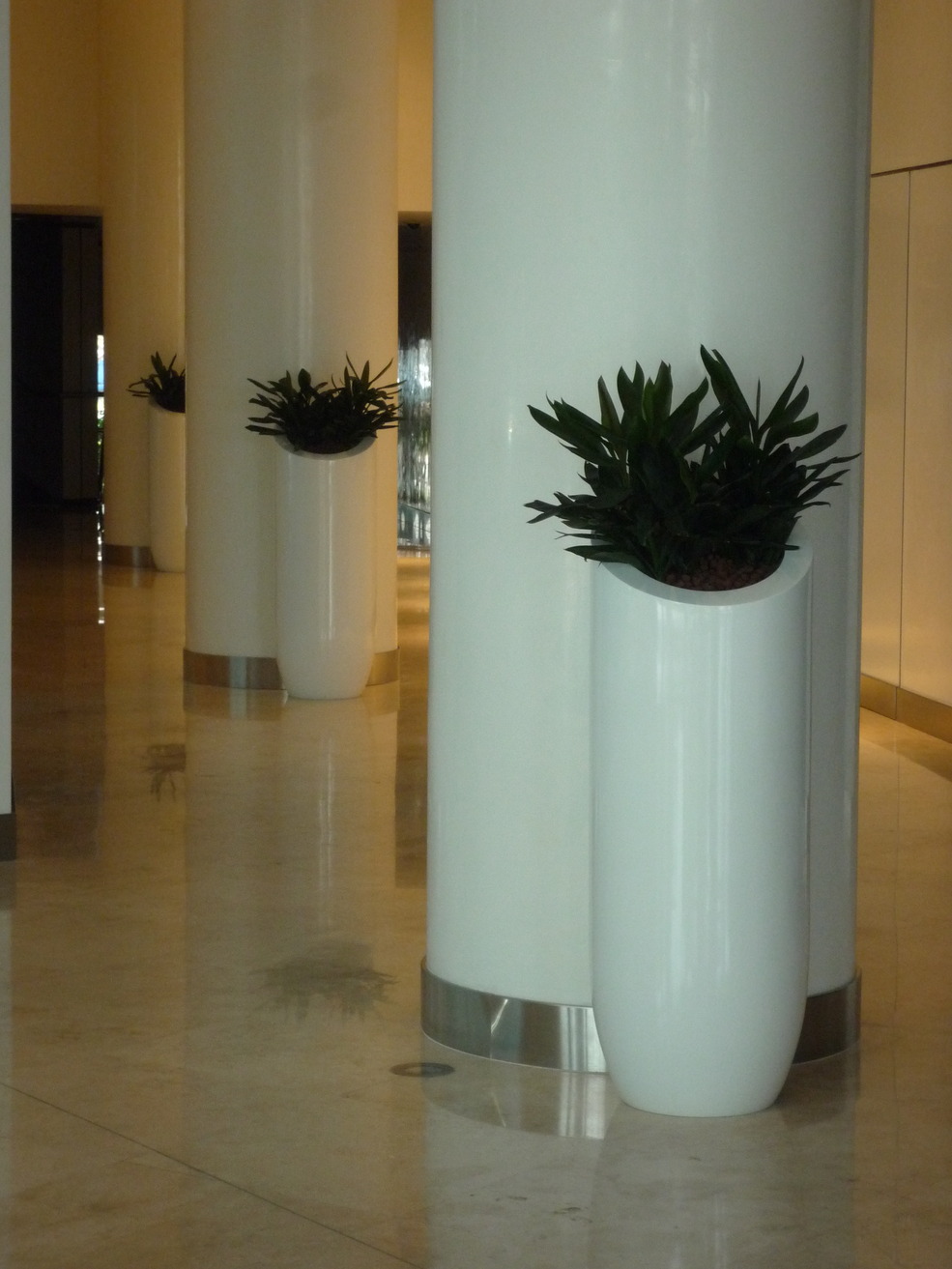 Hydroculture Plants, Exclusive Designer Pot, Dubai Chamber of Commerce DCC