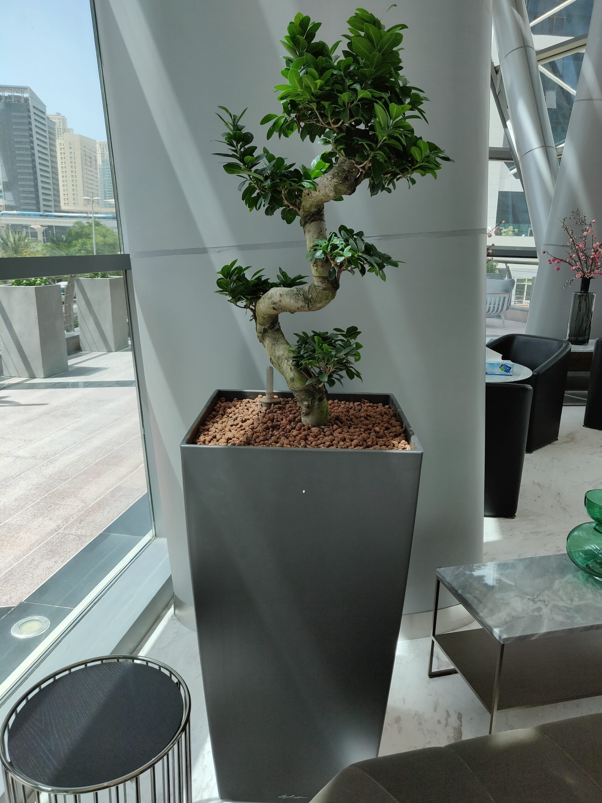 Hydroculture kits for your Interior Plants | Almas Tower | Plants Design