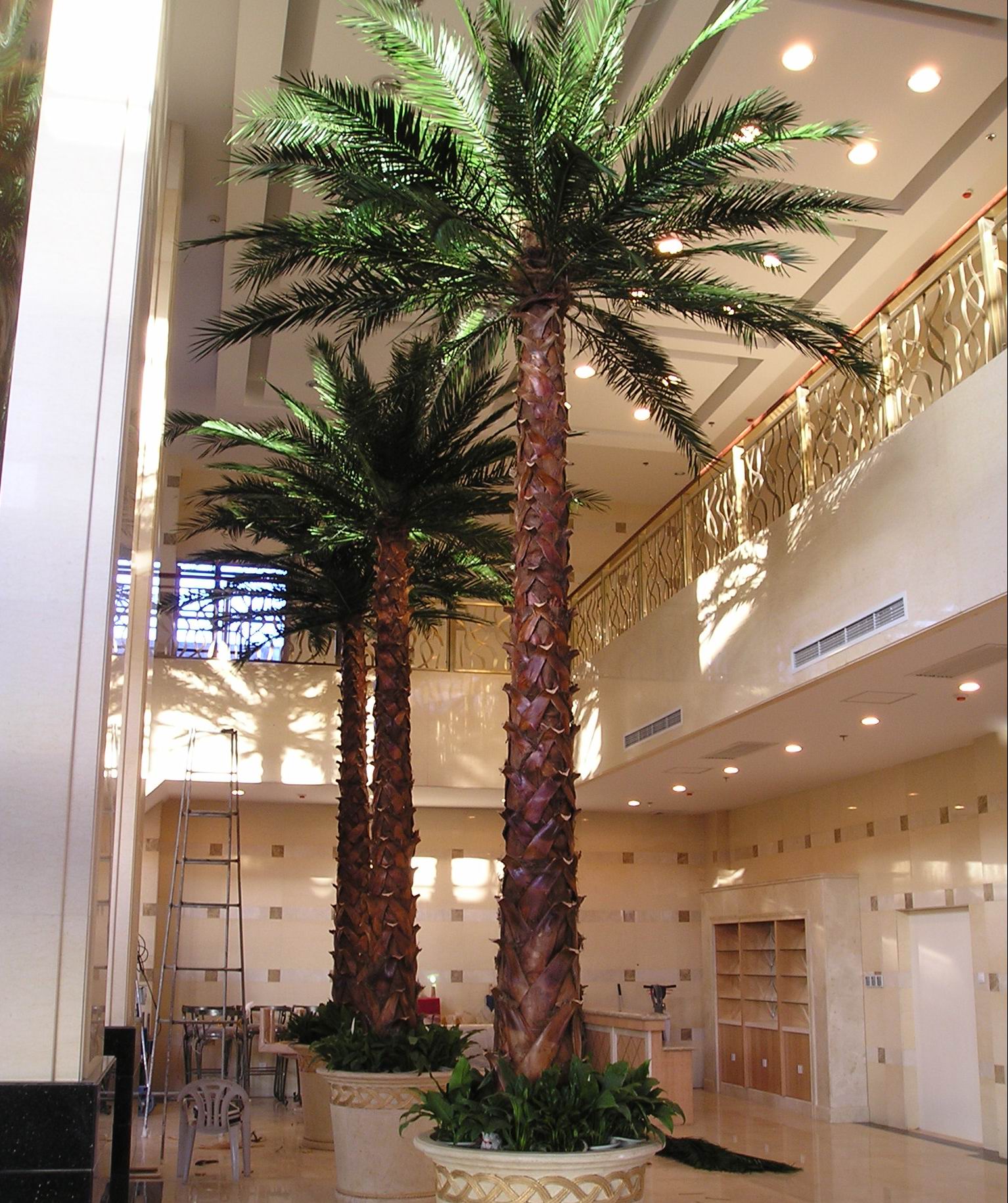 Artificial Palm Trees Best Preserved Date Palm Plants Design