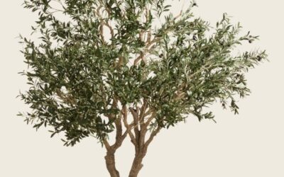 The Artificial Olive Tree: A Timeless Elegance in Modern Décor