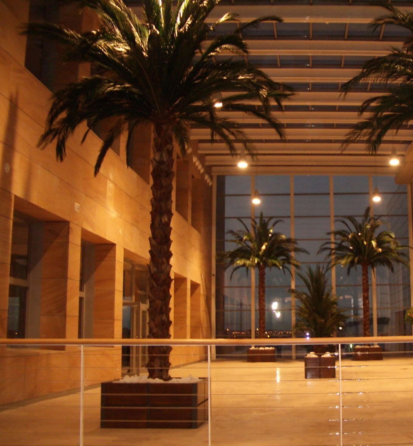 Preserved Plants Palm Trees