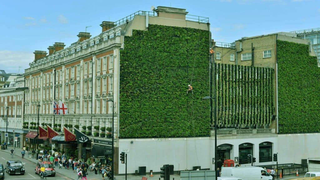 The Rubens at the Palace Hotel Green Walls