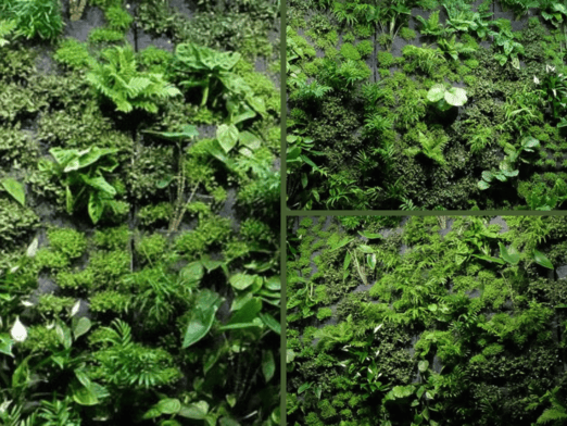 Green Walls